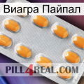 Виагра Пайпал cialis3